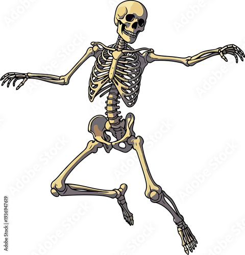 Human skeleton figure in dynamic lunging or dancing pose