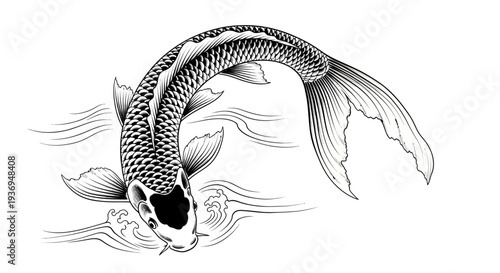 Elegant Koi Fish Illustration - Black and White Ink Drawing