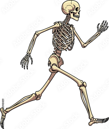 Undead human skeleton sprinting forward in a dynamic pose