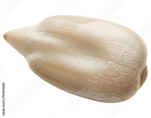 Single peeled sunflower seed kernel isolated on transparent background for healthy snack