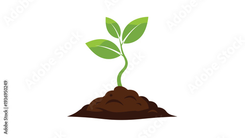 Young green plant sprout with three leaves grows from a small pile of dark soil in this simple nature-themed illustration.
