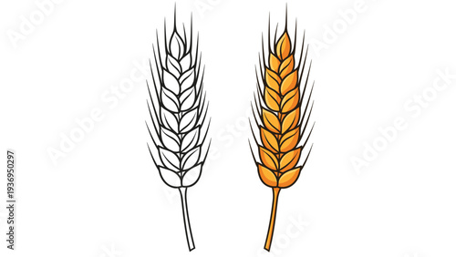 Illustration shows two stalks of ripe wheat with one rendered in black and white line art and the other in a warm golden color.