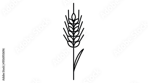 Simple black and white line art illustration of a single stalk of wheat with a leaf on a plain white background for organic product design.