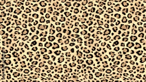Luxury Cheetah Motion Graphic, Seamless Moving Pattern, Wild Cat Aesthetic Video