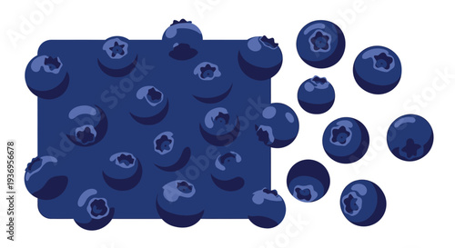Vibrant blueberries spilling out of a blue container on white background