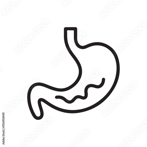 Human Stomach Anatomy Line Icon Vector for Digestive Health and Gastritis Medical Support