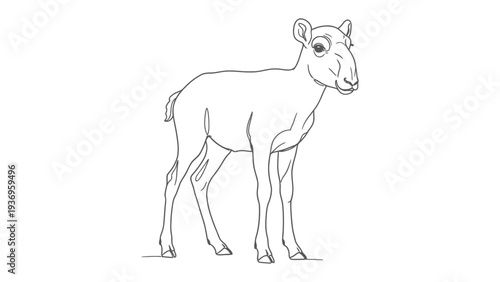 Lamb's Line Art: A delicate line drawing of a charming young lamb, exuding innocence and tranquility. 