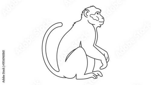 Outline of a Curious Primate: A captivating sketch showcases a monkey, its form defined in clean lines, inviting the viewer to explore the essence of this intelligent animal.