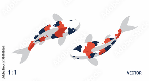 Two Colorful Koi Fish Swimming, Japanese Carp Vector Illustration