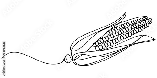 corn continuous one line drawing, Maize ear in continuous line art drawing style. Corn cob black linear sketch isolated on white background, one line Art icon drawing. Continuous one line drawing
