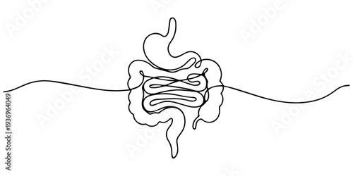 Intestines continuous one line drawing, Continuous one line drawing of Human digestion. Single line drawing illustration of Human Digestive. one line Icon drawing, Intestines continuous one line draw