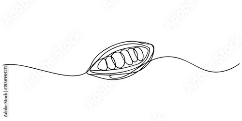organic cocoa bean continuous one line drawing, Cacao bean pod continuous one line drawing set isolated on a white background. Horizontal banner. Outline cocoa bean plant collections. Editable stroke.