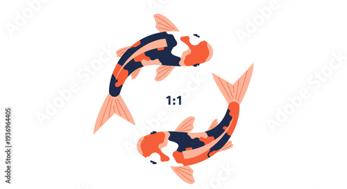 Two koi fish swimming in a circle, Japanese art style, white background