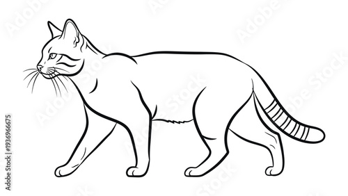 Contour Cat: A sleek contour drawing of a walking feline, capturing its graceful form and elegant pose.
