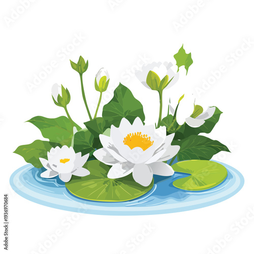 White water lilies blooming on a pond stylized illustration