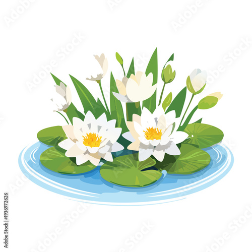 White water lilies blooming on water illustration