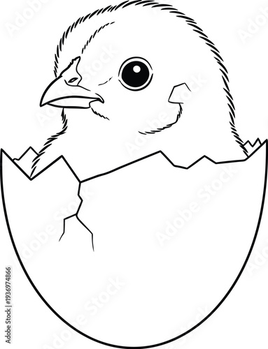 Adorable black and white line art drawing depicts a newly hatched chick emerging from a cracked eggshell