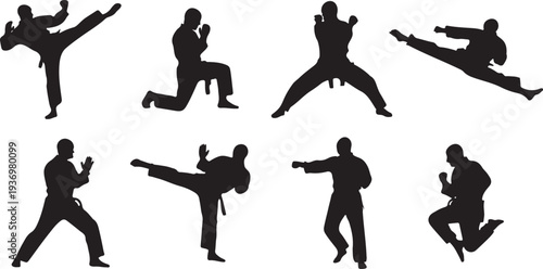 Martial Arts Pose Vector Illustration for Karate, Taekwondo, and Kung Fu Themes