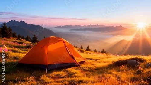 Camping on mountain top at sunrise with orange tent, sea of clouds, golden sunlight and alpine meadow for outdoor adventure lifestyle video