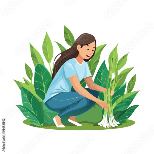 Woman harvesting plants illustration