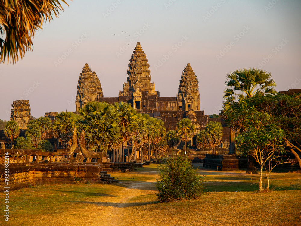 Fototapeta premium Ancient Angkor Wat temple entrance with sugar palm trees in warm golden hour sunlight, Siem Reap, Cambodia