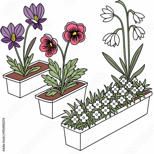 Colorful flowers in white planters on white background