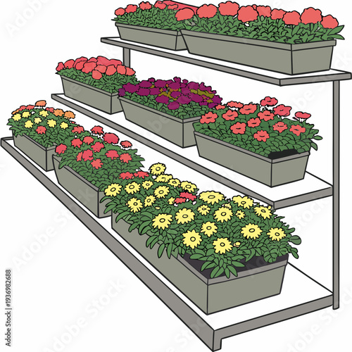 Colorful flowers in planters on metal shelves plants