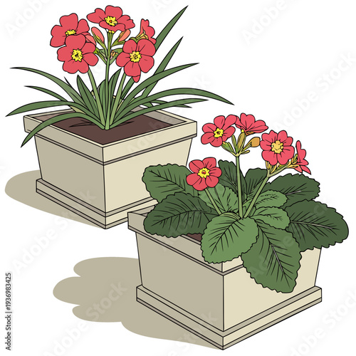 Two beige planters with pink flowers and green leaves