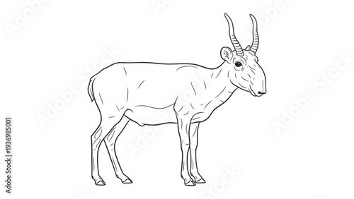 Antelope Line Art: A clean and simple line drawing of an antelope.  