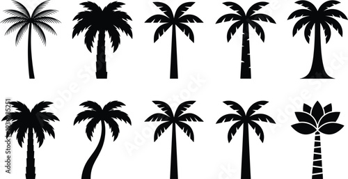 Collection of tropical palm tree silhouettes in various shapes and styles, minimalist black botanical icons set for summer design, beach branding, island travel graphics and nature illustrations