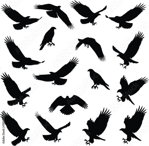 Black bird of prey silhouette illustration set with eagles and hawks in flying, gliding, landing and perching wildlife poses
