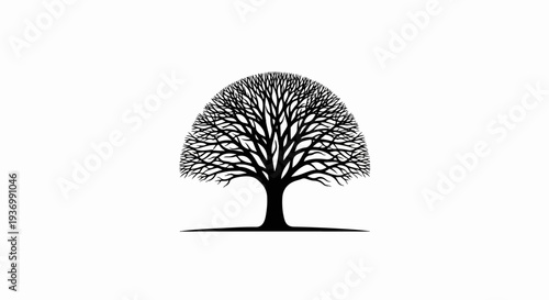Stylized silhouette of a bare tree with a full, spreading canopy