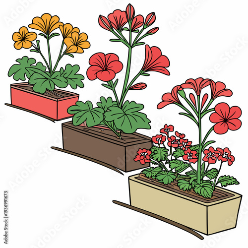 Colorful flowers in planters vibrant