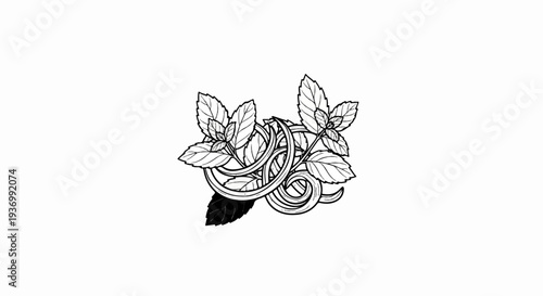 Stylized line art depicts intertwined mint leaves and stems