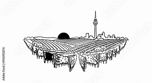 Rural vineyard landscape with city skyline and sun at sunrise