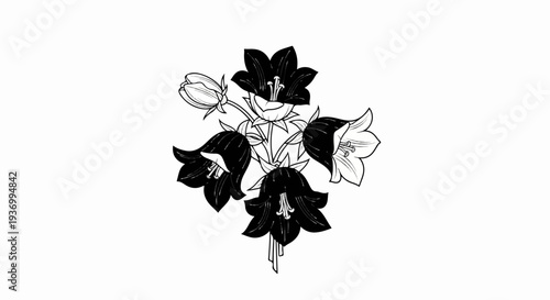 Black and white illustration of bell-shaped flowers with stems and leaves