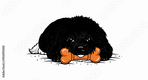 Black fluffy dog with playful expression holds an orange bone in its mouth
