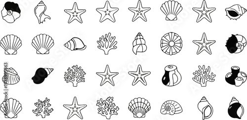 Collection of diverse seashells, starfish, and coral illustrations in outline and silhouette