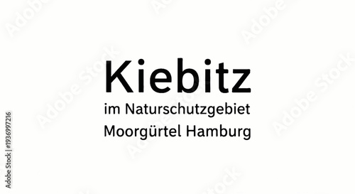 Black text on white Kiebitz im Naturschutzgebiet Moorgürtel Hamburg