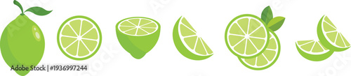 Citrus lime slices set. Vector EPS 10