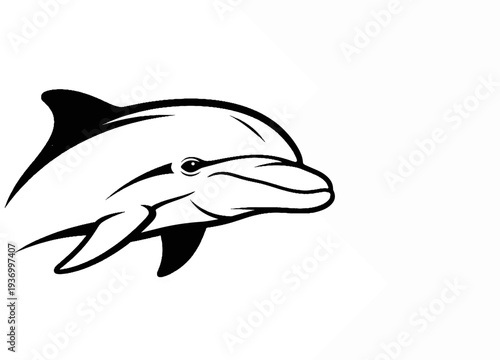 Black and white outline drawing of a dolphin's head on a white background