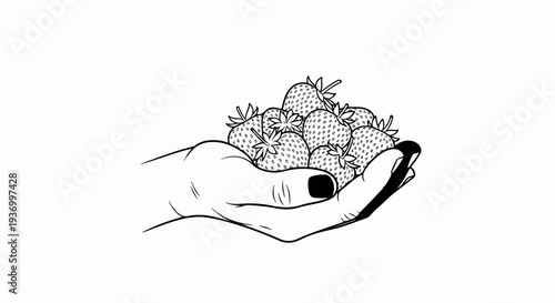 Line art of a hand holding a pile of fresh strawberries