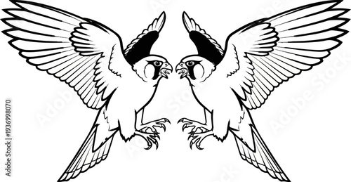 Two raptors with open beaks and spread wings facing each other