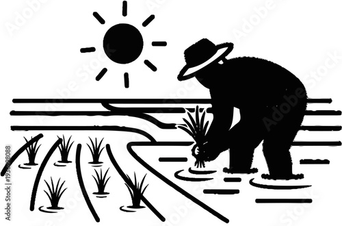 Farmer planting rice in flooded field under bright sun