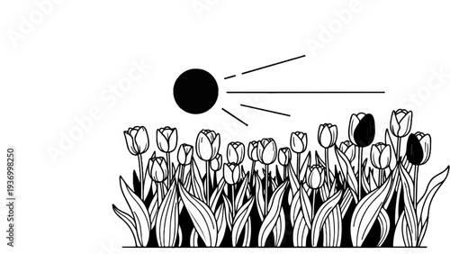 A black and white illustration of tulips blooming under a bright sun
