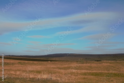 A field with a few trees