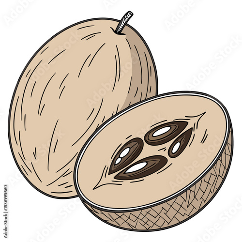 Photorealistic of a sapodilla fruit cut in half seeds 1