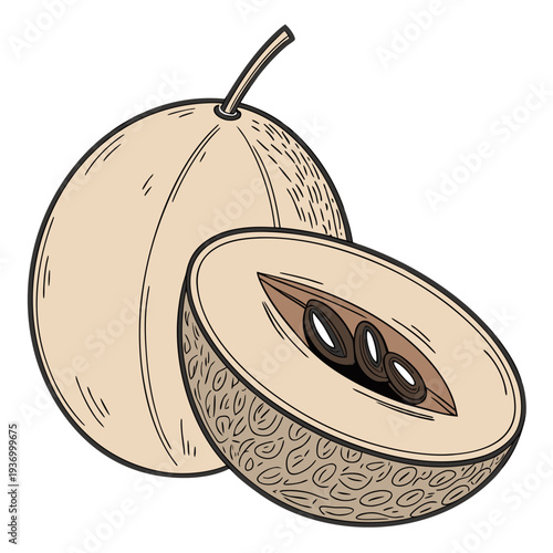 Photorealistic of a sapodilla fruit cut in half seeds