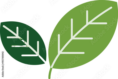 Vibrant green leaves symbolizing growth and harmony with nature concept