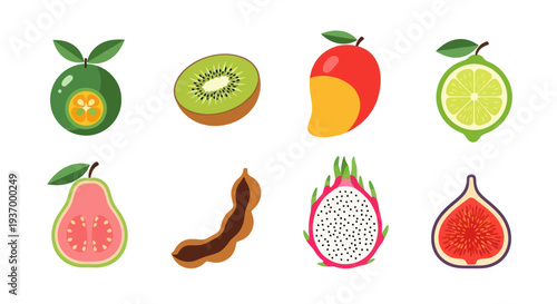 Colorful fruits isolated vector illustrations